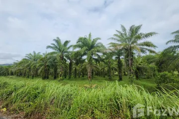 Land for sale in Khok Kloi, Phang Nga