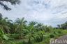Land for sale in Khok Kloi, Phang Nga