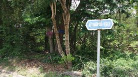 Land for sale in Sirivalai Rangsit – Klong 1, Prachathipat, Pathum Thani