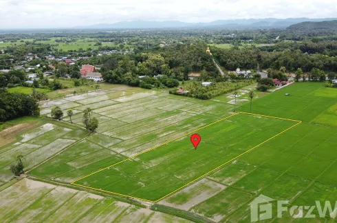 Land for sale in Rong Wua Daeng, Chiang Mai