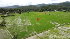 Land for sale in Rong Wua Daeng, Chiang Mai
