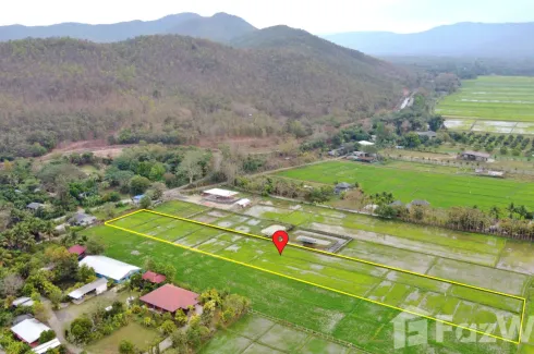Land for sale in Rong Wua Daeng, Chiang Mai