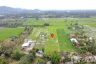 Land for sale in Rong Wua Daeng, Chiang Mai