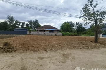 Land for sale in San Klang, Chiang Mai