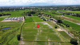 Land for sale in Sai Mun, Chiang Mai