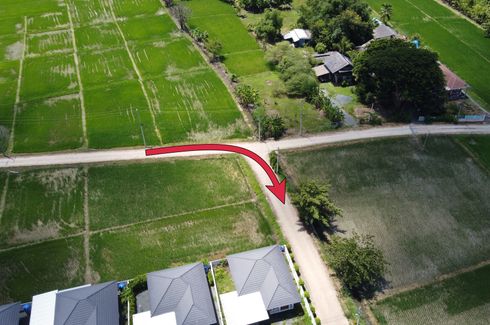 Land for sale in Sai Mun, Chiang Mai