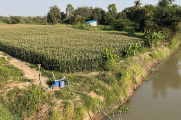 Land for sale in Pak Nam, Suphan Buri