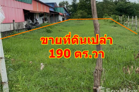 Land for sale in Si Sawang, Buriram