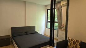 1 Bedroom Condo for rent in Zcape condo, Choeng Thale, Phuket