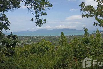 Land for sale in Bo Phut, Surat Thani