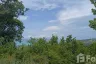 Land for sale in Bo Phut, Surat Thani