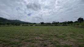 Land for sale in Wang Dong, Kanchanaburi