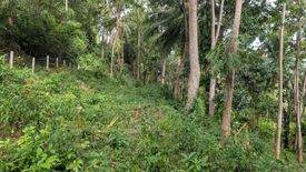 Land for sale in Taling Ngam, Surat Thani