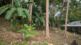 Land for sale in Taling Ngam, Surat Thani