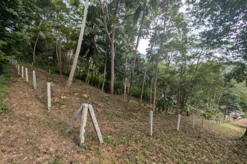 Land for sale in Taling Ngam, Surat Thani