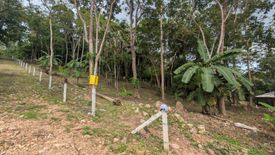 Land for sale in Taling Ngam, Surat Thani