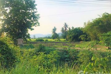Land for sale in Tha Khlo, Saraburi