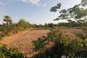 Land for sale in Tha Khon Yang, Maha Sarakham