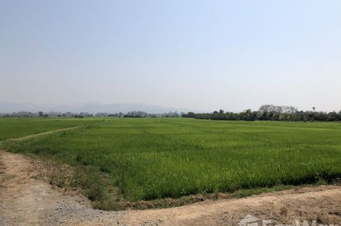 Land for sale in Khilek, Chiang Mai