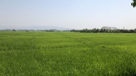 Land for sale in Khilek, Chiang Mai