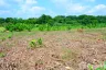Land for sale in Nong Phue, Loei