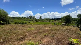 Land for sale in Nong Phue, Loei