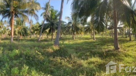 Land for sale in Huai Yang, Prachuap Khiri Khan