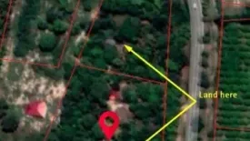 Land for sale in Tha Tum, Surin