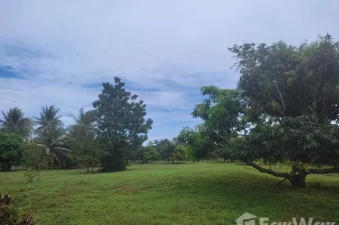 Land for sale in Sam Roi Yot, Prachuap Khiri Khan