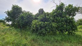 Land for sale in Sam Roi Yot, Prachuap Khiri Khan