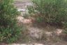 Land for sale in Sam Roi Yot, Prachuap Khiri Khan