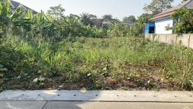 Land for sale in Tha Rap, Phetchaburi