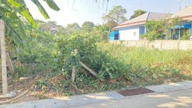 Land for sale in Tha Rap, Phetchaburi