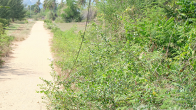 Land for sale in Sam Roi Yot, Prachuap Khiri Khan