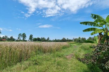 Land for sale in Bang Chan, Phetchaburi