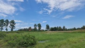 Land for sale in Bang Chan, Phetchaburi