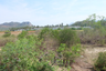 Land for sale in Sam Roi Yot, Prachuap Khiri Khan