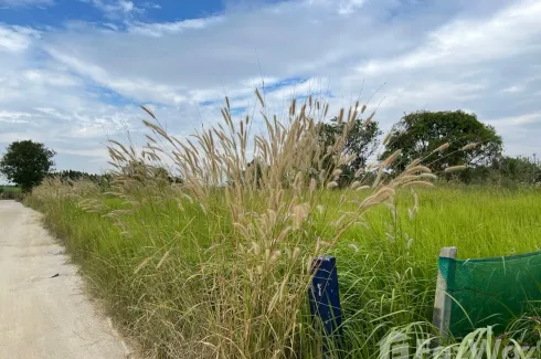 Land for sale in Nong Bon Daeng, Chonburi