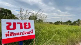 Land for sale in Nong Bon Daeng, Chonburi