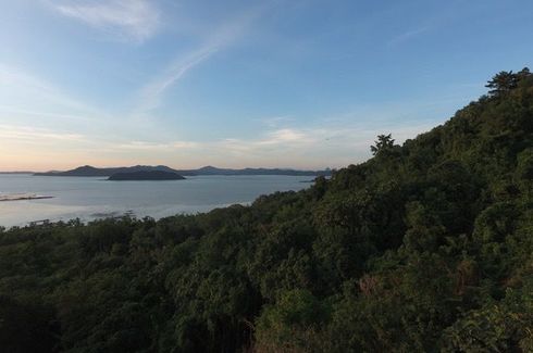 Land for sale in Pa Khlok, Phuket