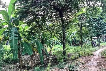 Land for sale in Bang Waek, Bangkok