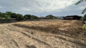 Land for sale in Nong Prue, Chonburi