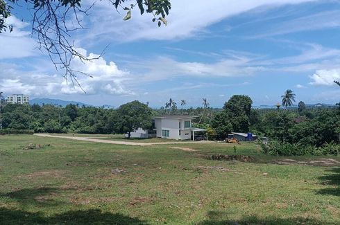 Land for sale in Mae Nam, Surat Thani