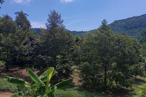 Land for sale in Mae Nam, Surat Thani