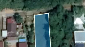 Land for sale in Chakkarat, Nakhon Ratchasima