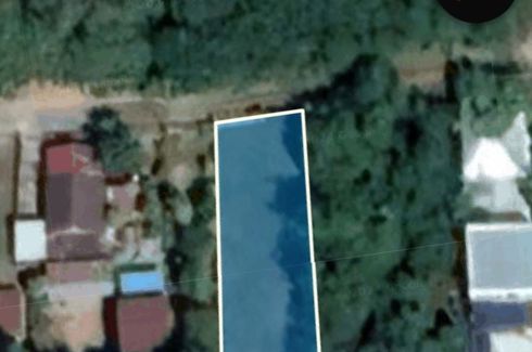 Land for sale in Chakkarat, Nakhon Ratchasima