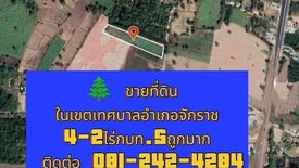 Land for sale in Chakkarat, Nakhon Ratchasima