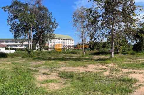 Land for sale in Nong Prue, Chonburi