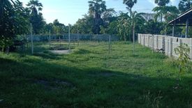 Land for sale in Thong Chai, Phetchaburi