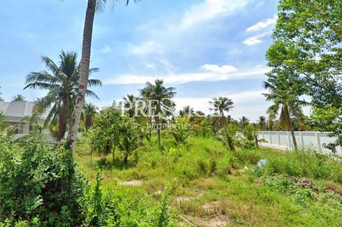 Land for sale in Huai Yai, Chonburi